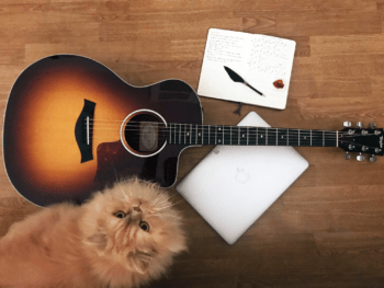 Mentaltraining, Mentalcoaching, Resilienztraining, Gesangstraining, Vocal Coaching, Vocal Coach, NLP, Rhethoriktraining, Mentaltraining, Persönlichkeitsentwicklung, Präsentationstraining, Stimmtraining, Coaching, Stimmtraining, Stimmbildung, Singen lernen, Sprechtraining Hörbuchsprecher Synchronsprecher, Lebens- und Sozialberatung, Atemtraining, Workshop, Vortrag, tiefe Atmung, StimmWunder, Nives Farrier, Wien