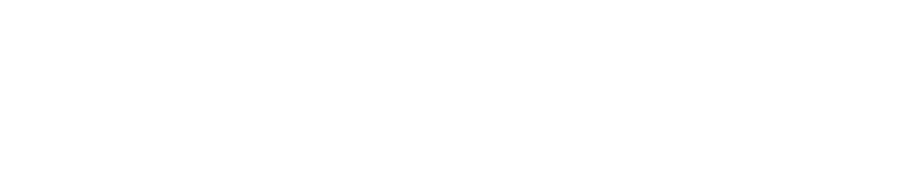 stimmwunder logo registered weiß