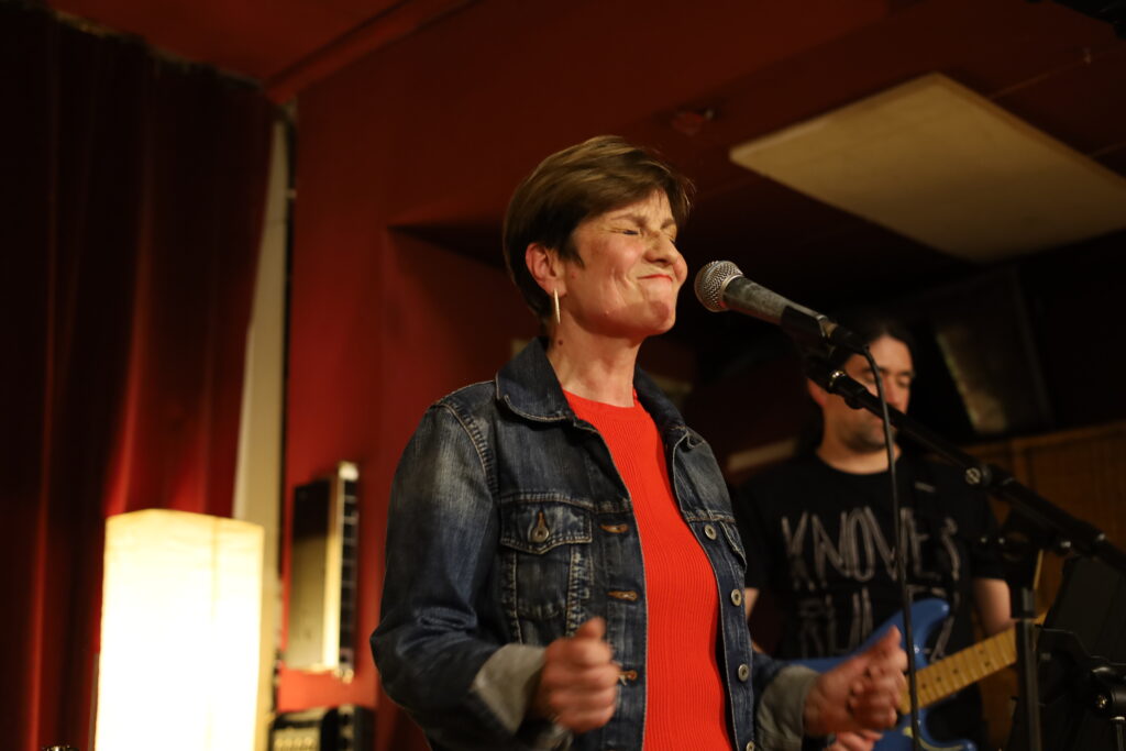 vocal coach wien singen lernen wien gesangsunterricht online dach vocal coach online deutsch, gesangsunterricht wien