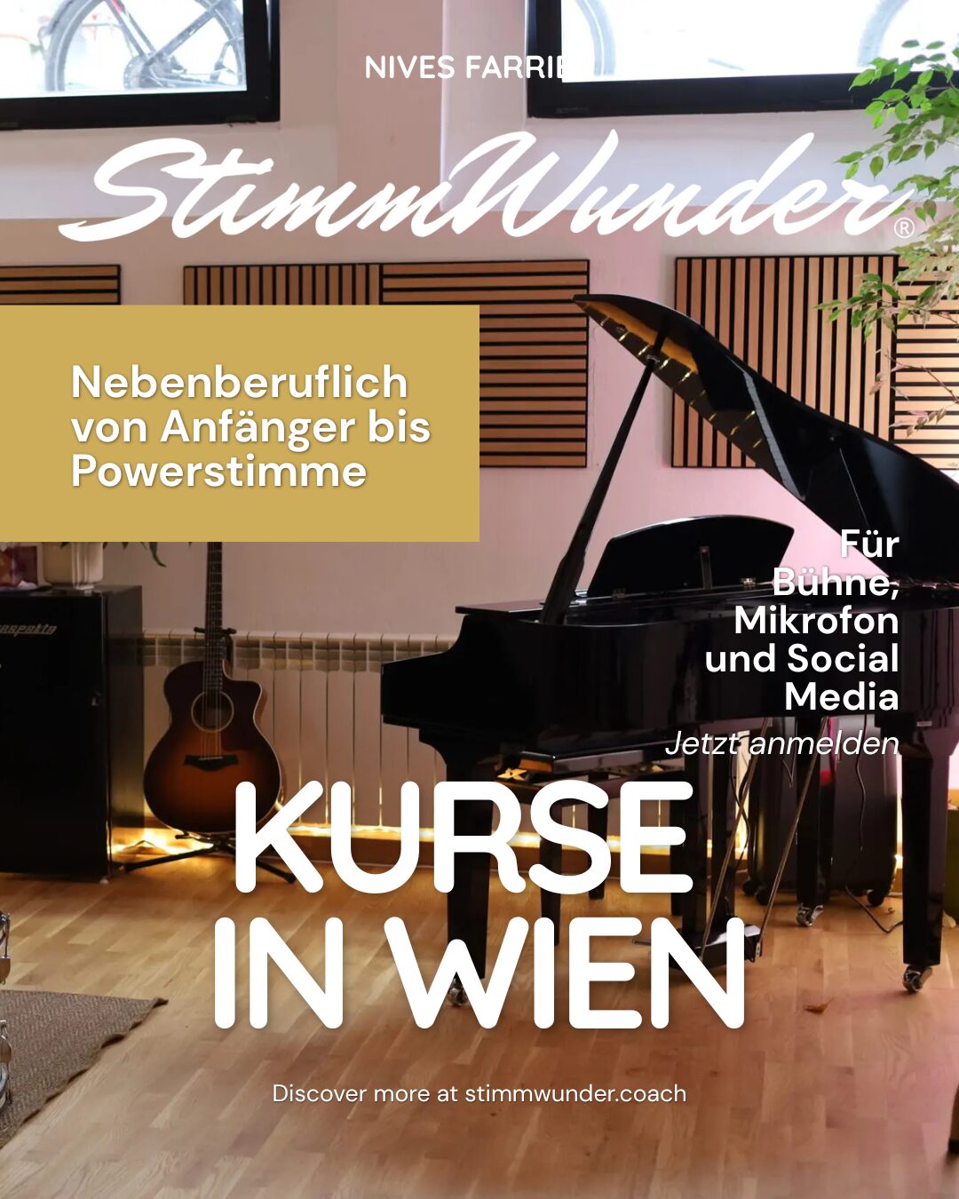 Stimmtraining Wien, Stimmwunder, Nives Farrier,