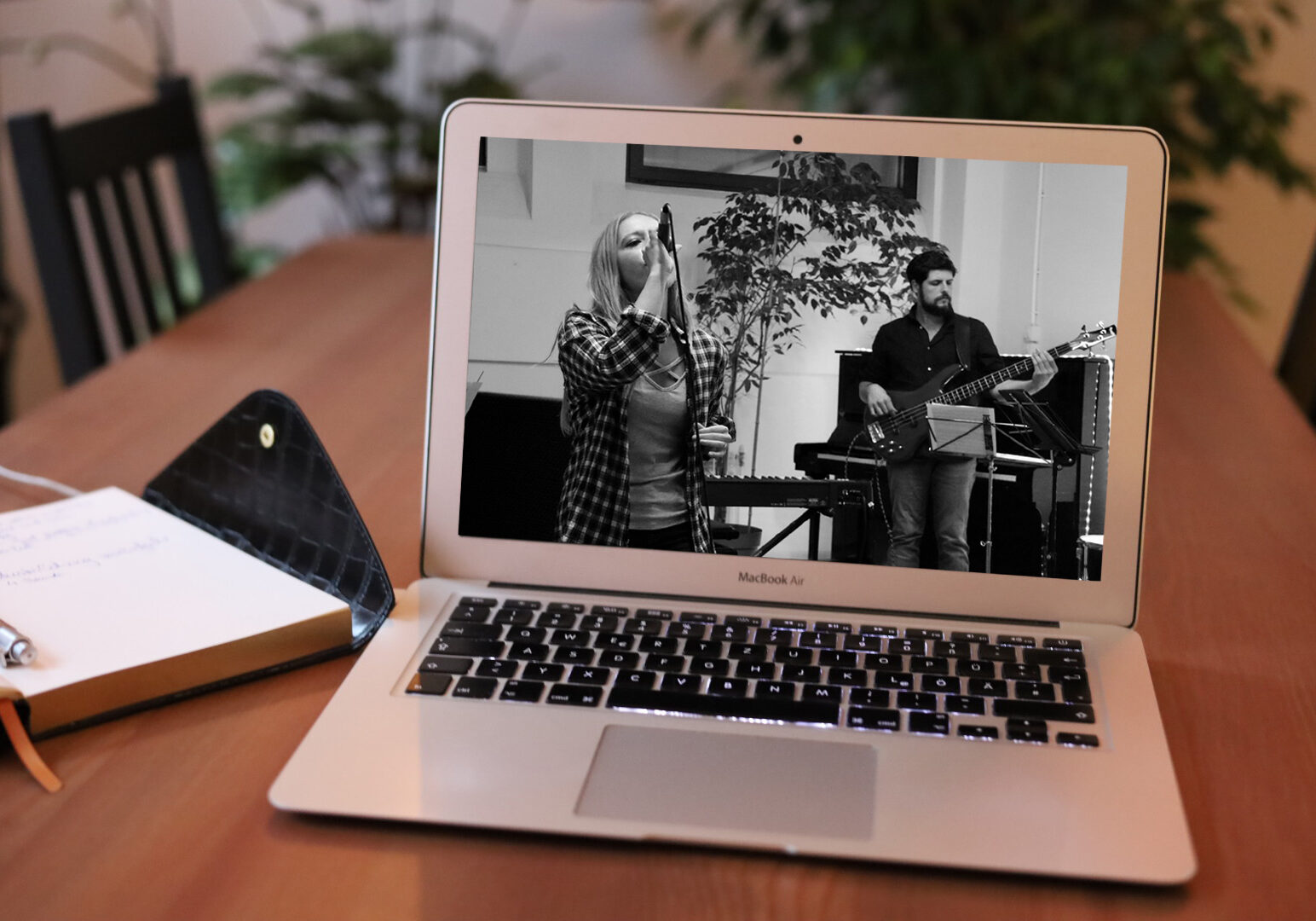 online singen lernen, gesangsausbildung online, online vocal coaching ,stimmwunder wien, nives farrier